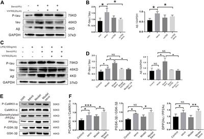 Sevoflurane Aggravates the Progress of Alzheimer’s Disease Through NLRP3/Caspase-1/Gasdermin D Pathway